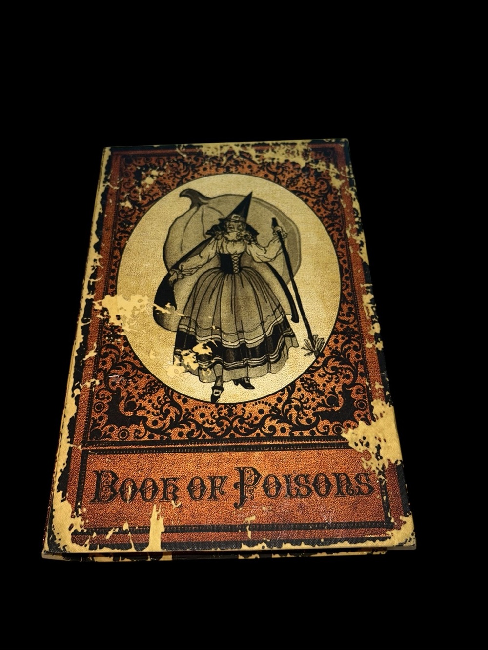 Halloween Witch "Book of Poisons" faux book storage book